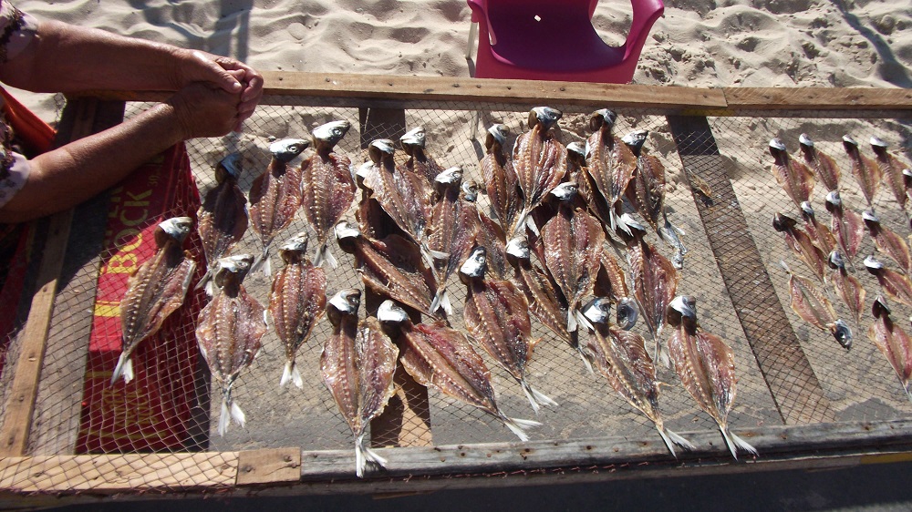 Les poissons séchés à Nazaré